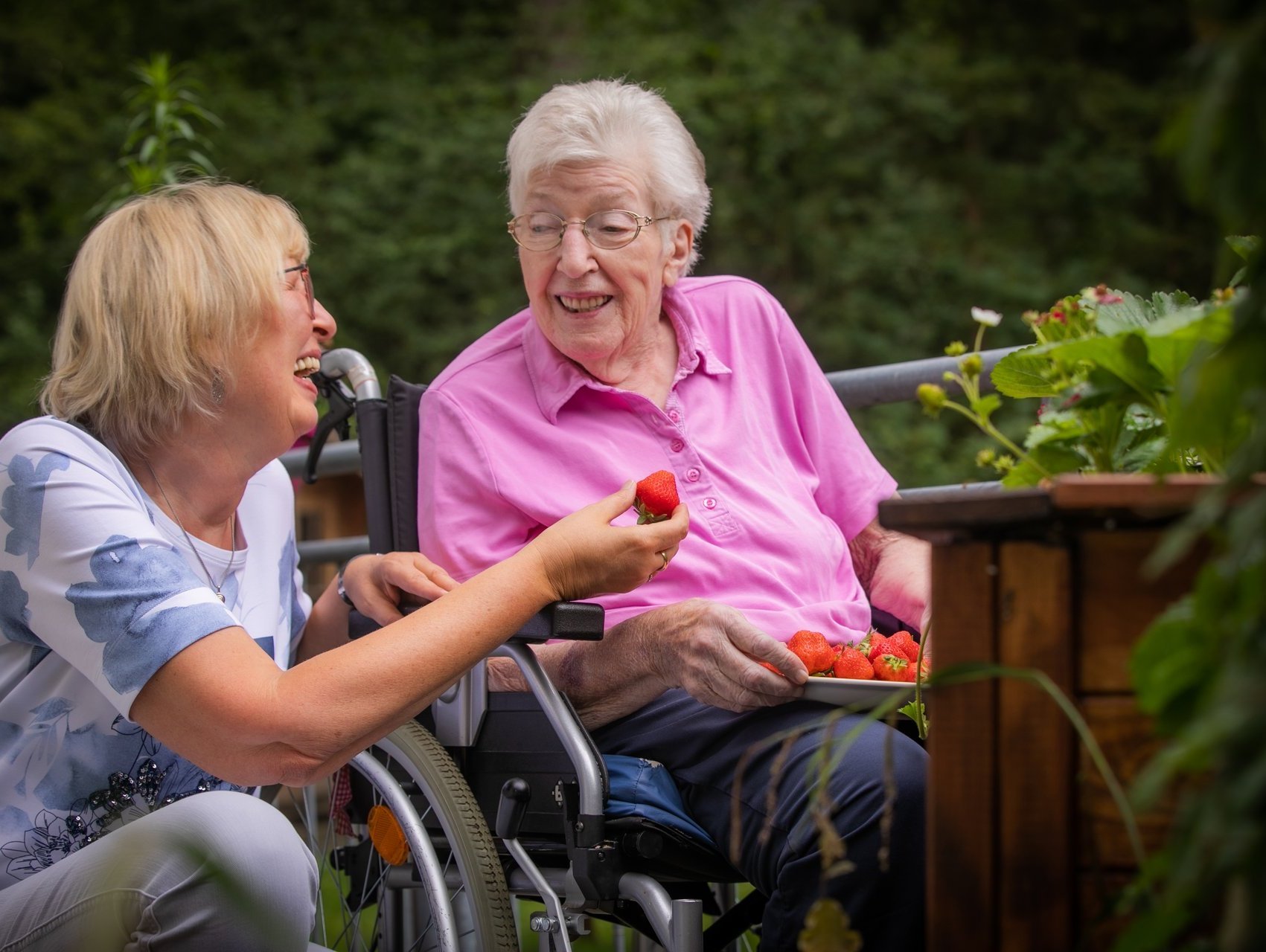 Eine Bewohnerin im Rollstuhl sitzt mit eirner Schale Erdbeeren auf dem Schoß im Garten und neben ihr kniet eine Besucherin und isst Erdbeeren.